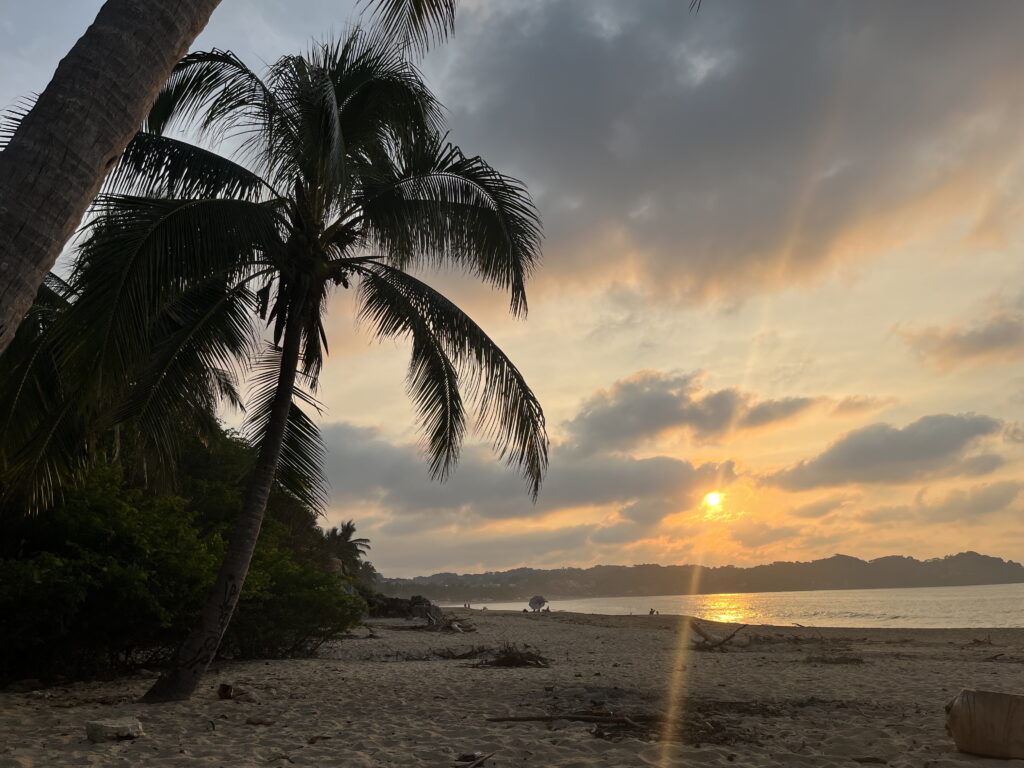 Sunset over a tropical beach in Mexico with palm trees along the shoreline