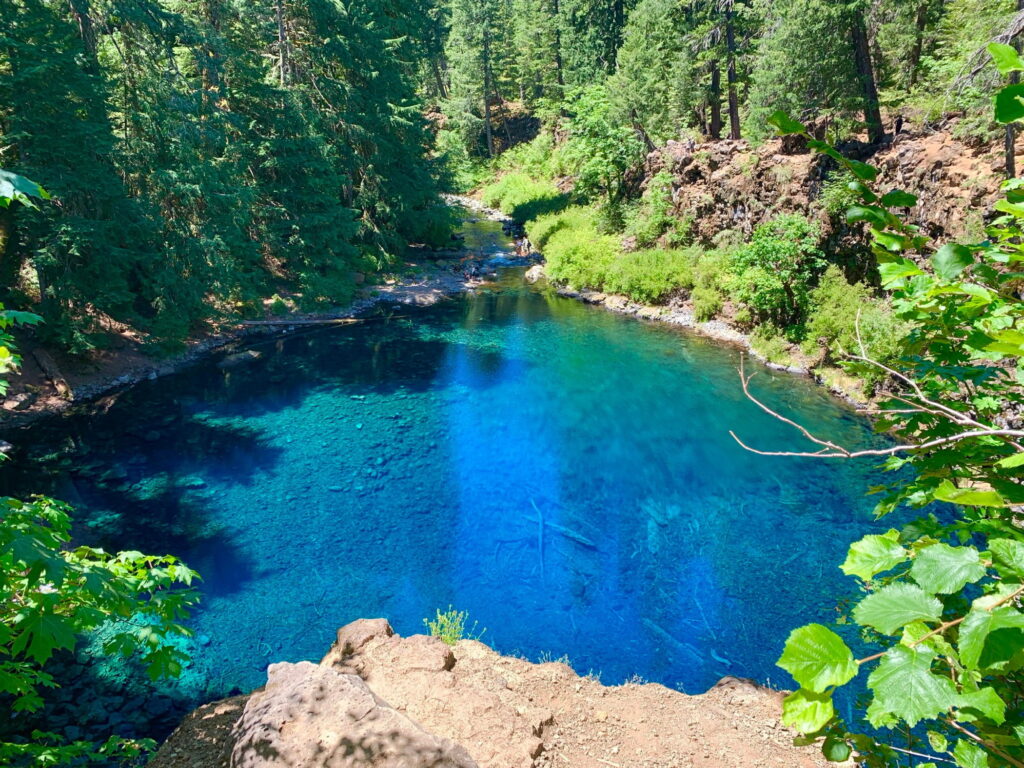Tamolitch Blue Pool in Oregon with clear turquoise water surrounded by forest along the McKenzie River Trail.